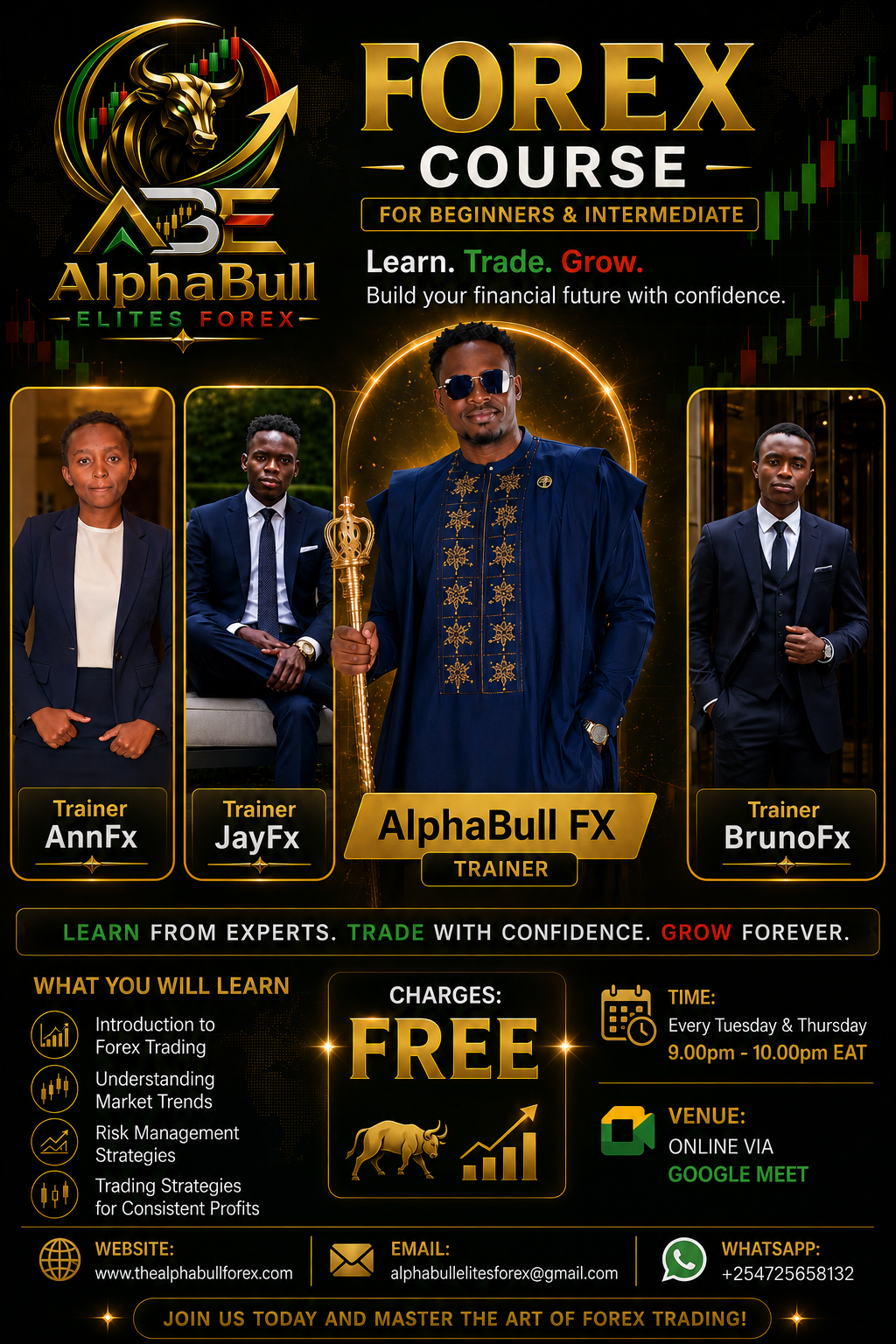AlphaBull Forex Trading Course for Beginners & Intermediate Traders